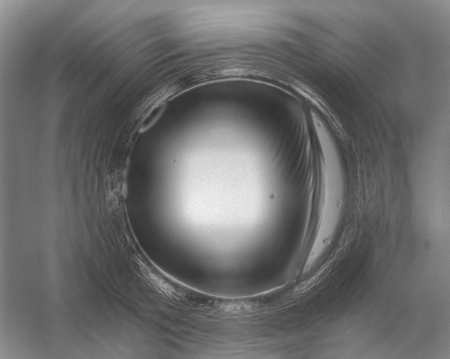 X0000056340801200509161734