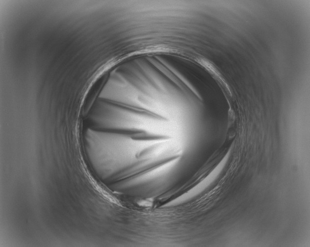 X0000056340805200509161734