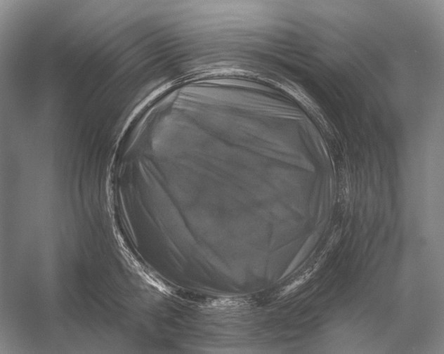 X0000056340806200509161734