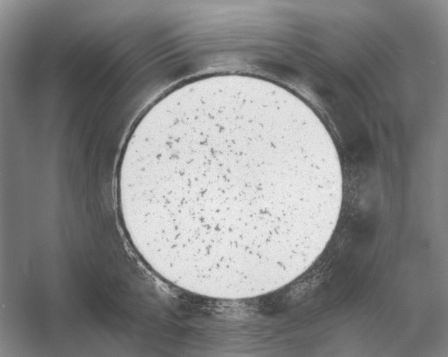 X0000056340807200509161734