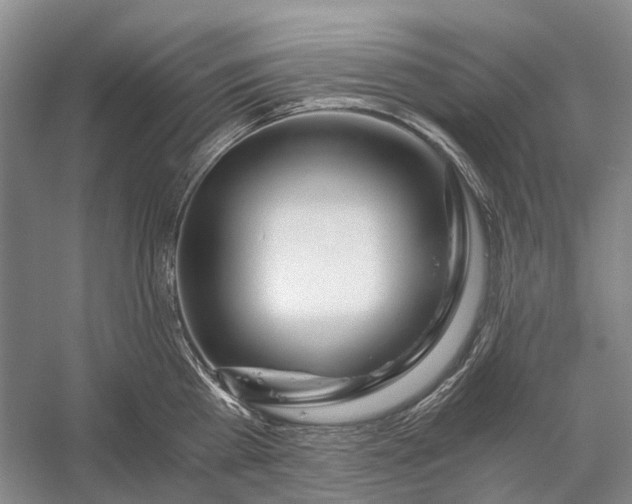 X0000056340809200509161734