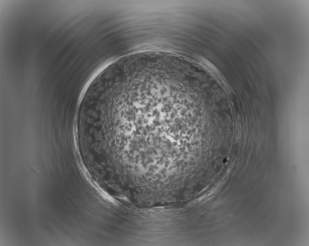 X0000056340812200509161734