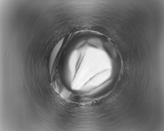 X0000056340818200509161733