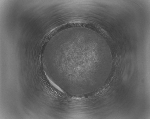 X0000056340821200509161733