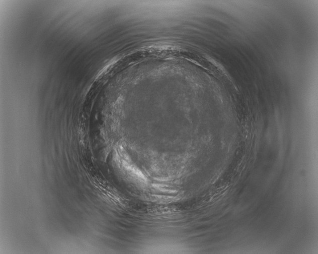 X0000056340823200509161733