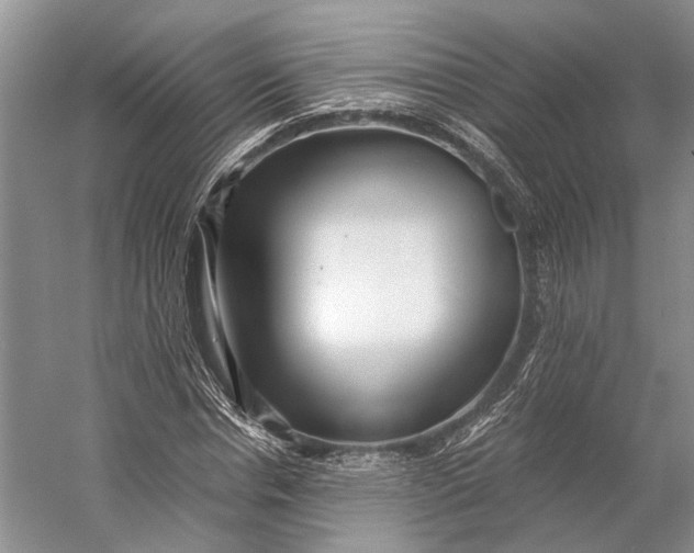 X0000056340826200509161733
