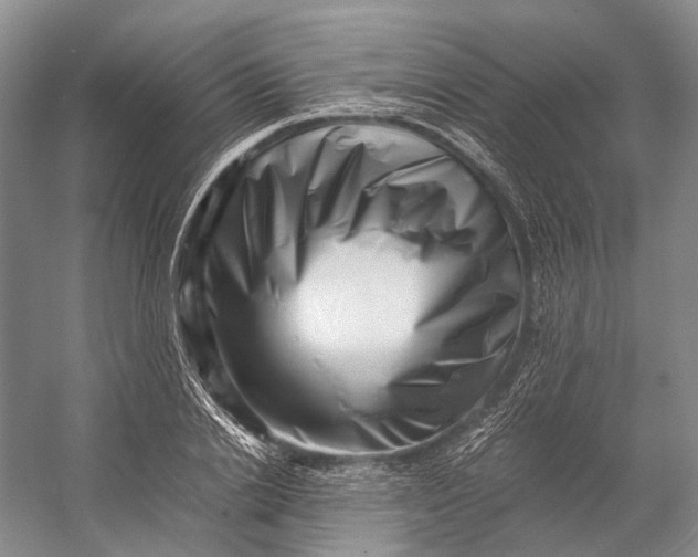 X0000056340838200509161733