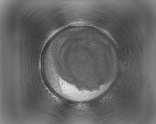 X0000056340839200509161733