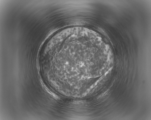 X0000056340843200509161734