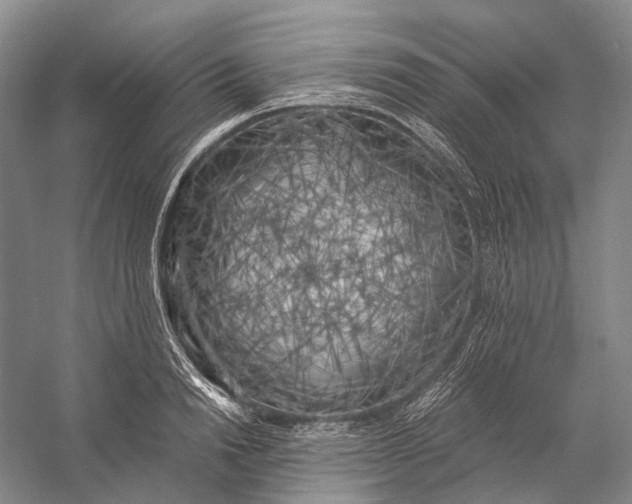 X0000056340846200509161734