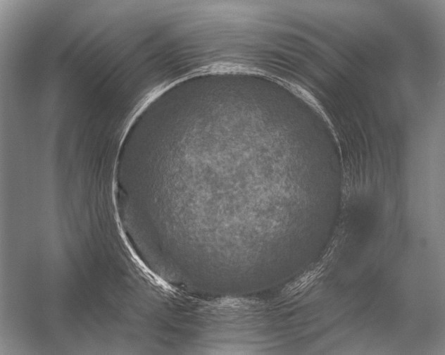 X0000056340847200509161734