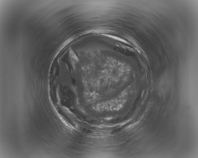 X0000056340853200509161734