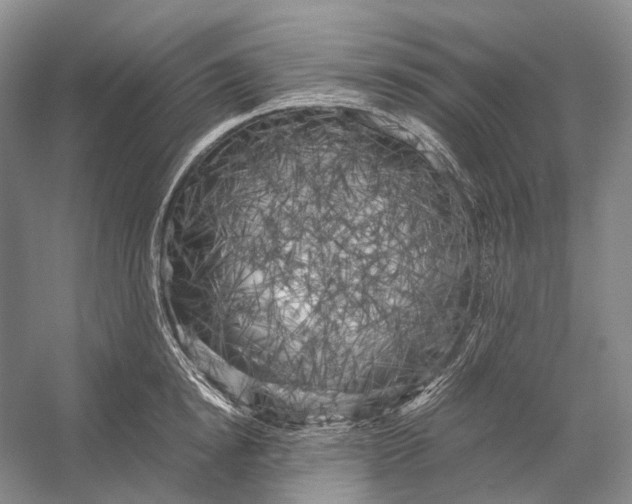 X0000056340854200509161734