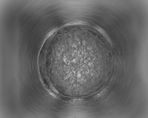 X0000056340858200509161734