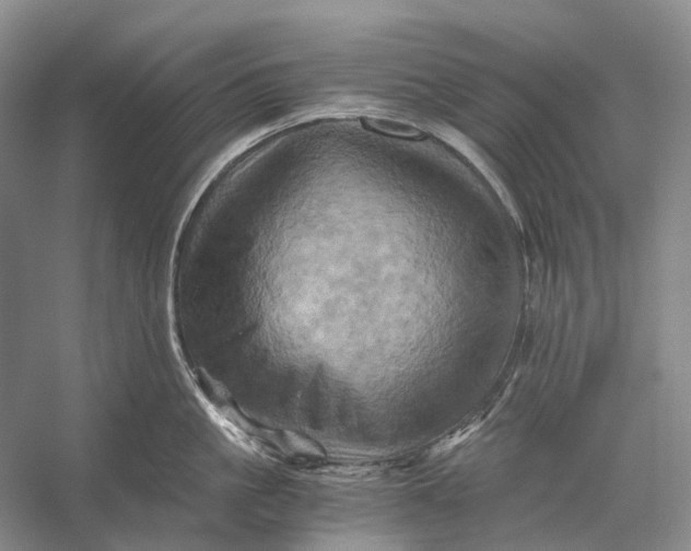 X0000056340861200509161734