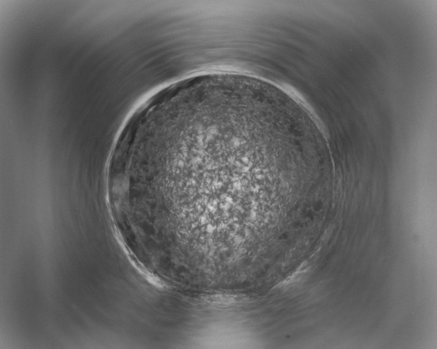 X0000056340862200509161734