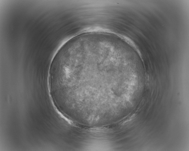 X0000056340863200509161734