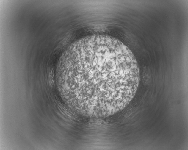 X0000056340866200509161733