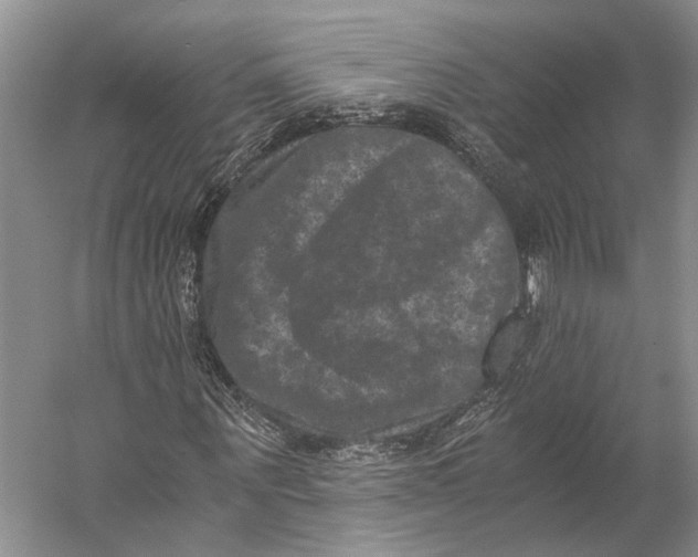 X0000056340867200509161733