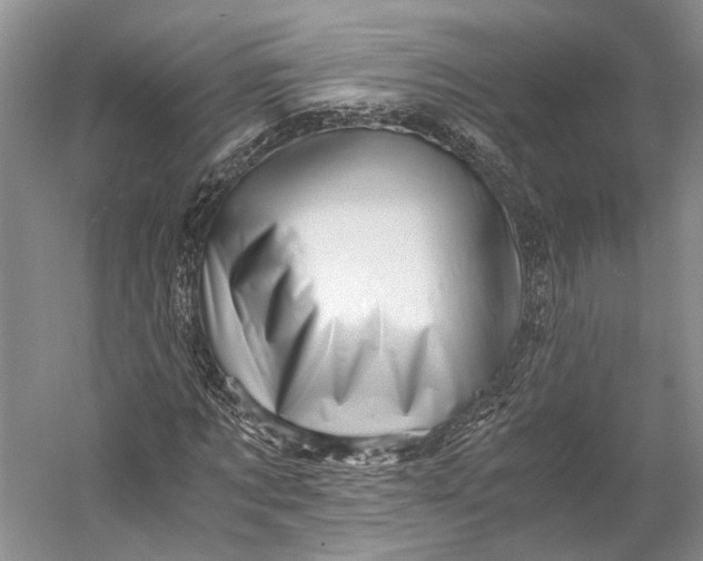 X0000056340869200509161733