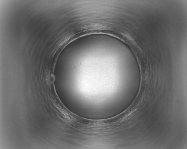 X0000056340873200509161733