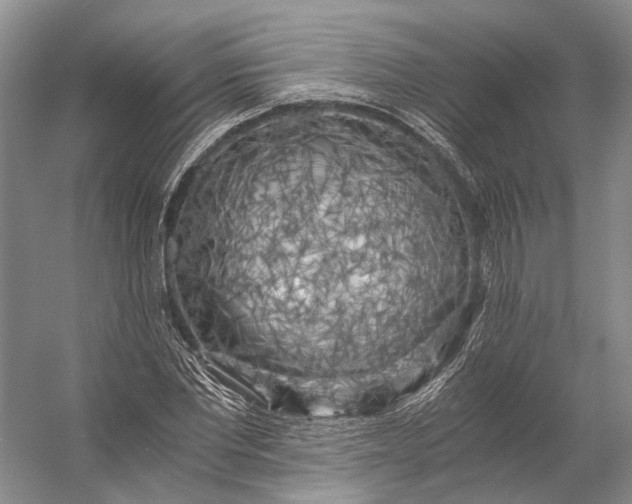 X0000056340877200509161733