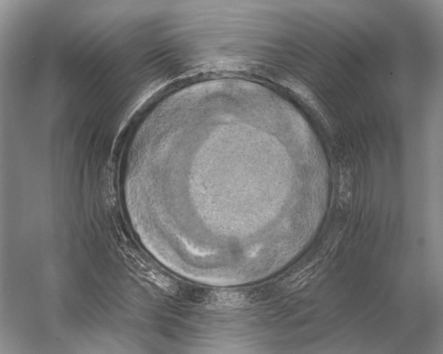X0000056340878200509161733