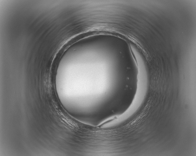 X0000056340880200509161733