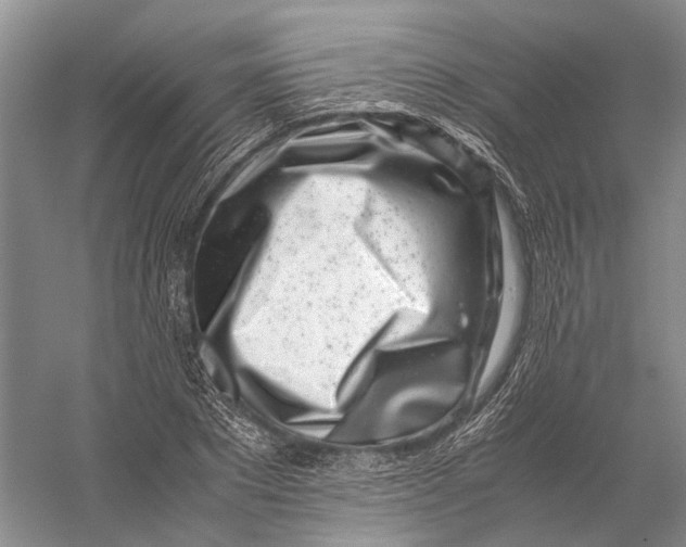 X0000056340881200509161733