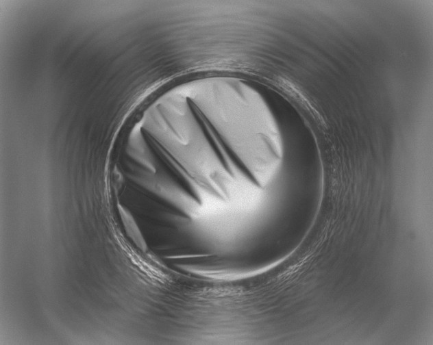 X0000056340884200509161733