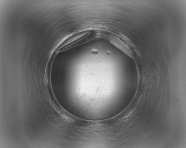X0000056340885200509161733