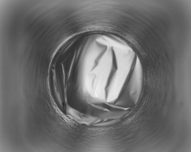 X0000056340888200509161733