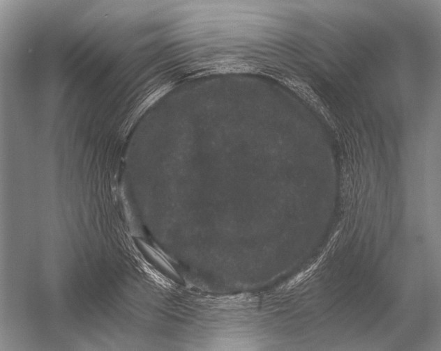 X0000056340889200509161733