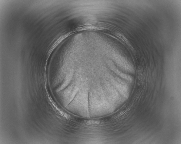 X0000056340890200509161733