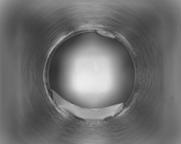 X0000056340893200509161733