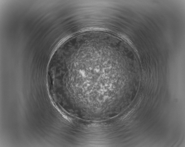 X0000056340898200509161732