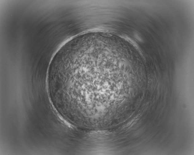 X0000056340902200509161732