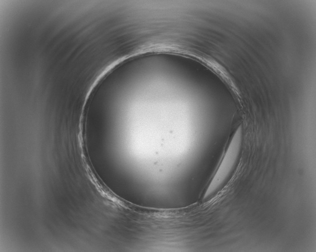 X0000056340904200509161732