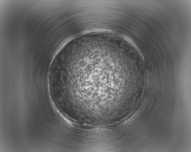X0000056340906200509161732