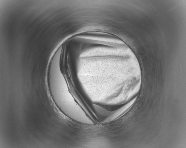 X0000056340912200509161732