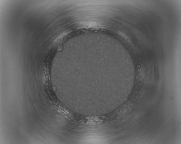 X0000056340918200509161732