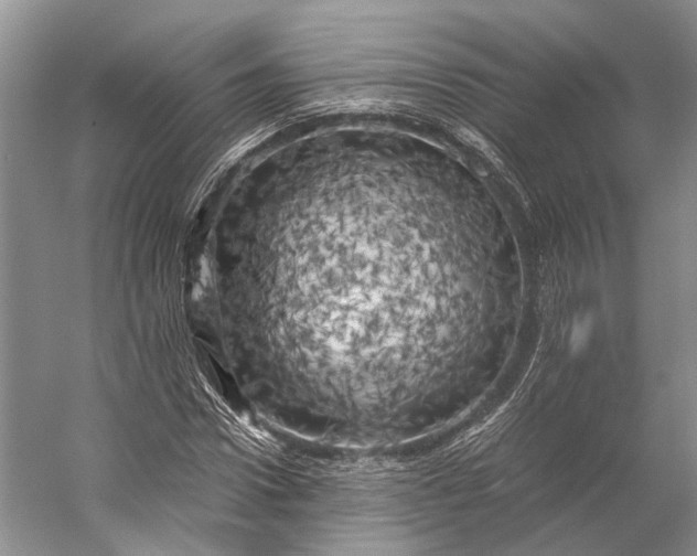 X0000056340922200509161732