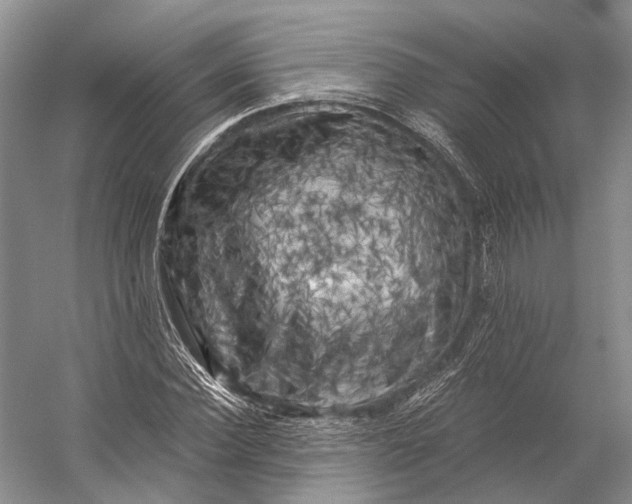 X0000056340924200509161732