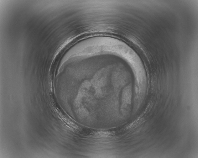 X0000056340925200509161732