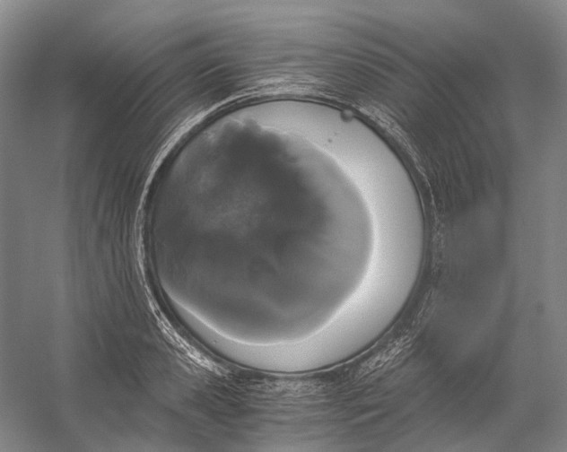 X0000056340941200509161732