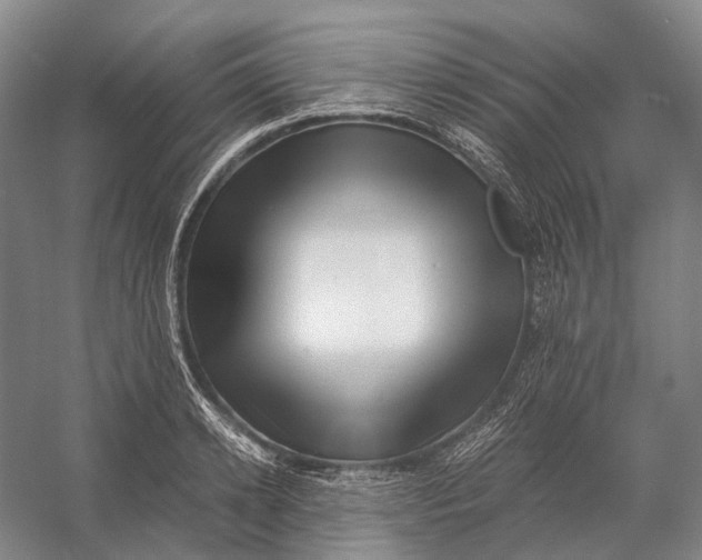 X0000056340942200509161732