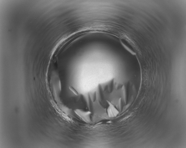X0000056340944200509161732
