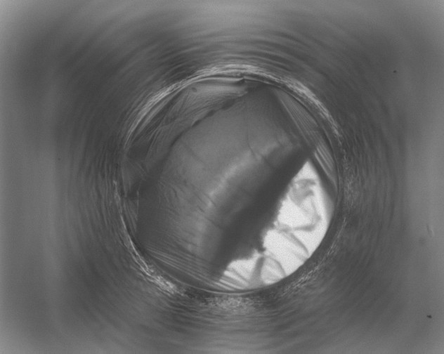 X0000056340945200509161732