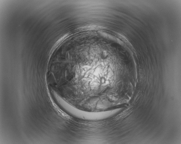 X0000056340946200509161732