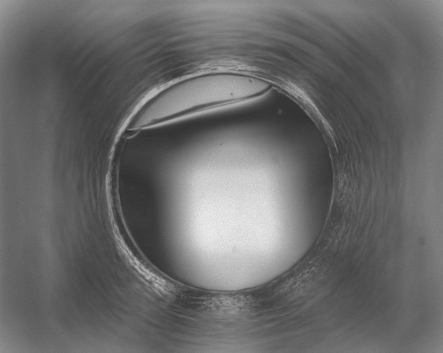 X0000056340947200509161732